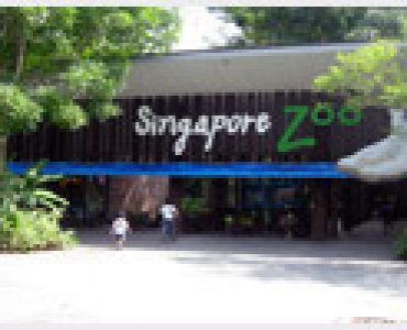 Singapore_Zoo
